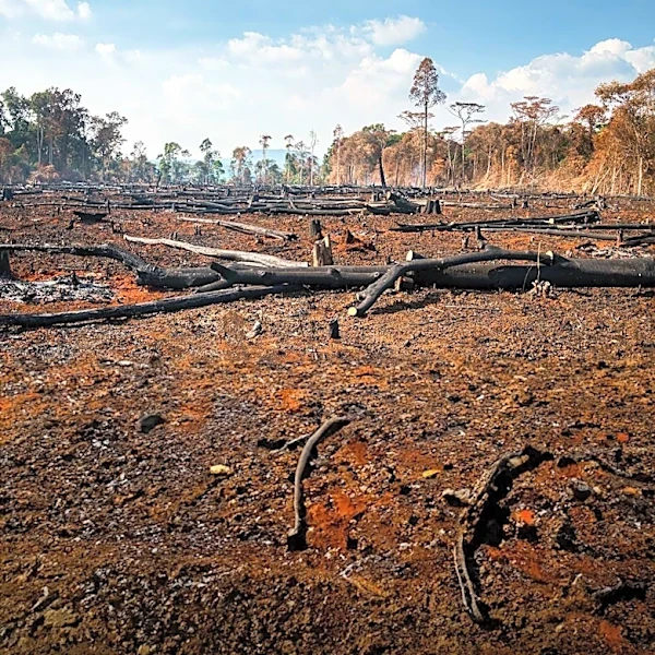Residents Document Burned Aftermath of Bald Range Wildfire