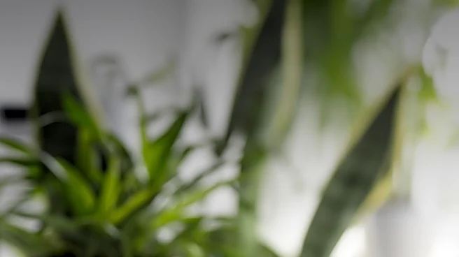 Google Health Integration with Home Assistant Automates Home Based on Health Metrics