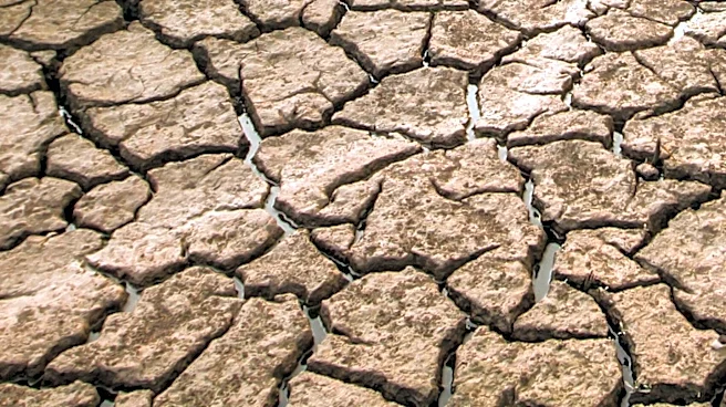 Karnali Government Forms Task Force to Address Drought Impact on Agriculture
