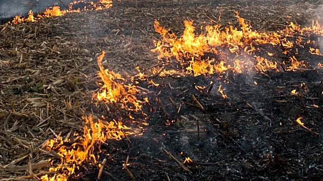 Evacuations Downgraded in Malden and Rosalia Amid Wells Road Fire