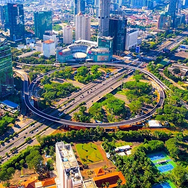 Indonesia Supports BRICS Trade Meeting Outcomes to Enhance Global Economic Cooperation
