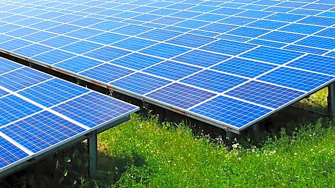 Oregon Approves Solar Project with Wildlife Corridor to Protect Local Ecosystem