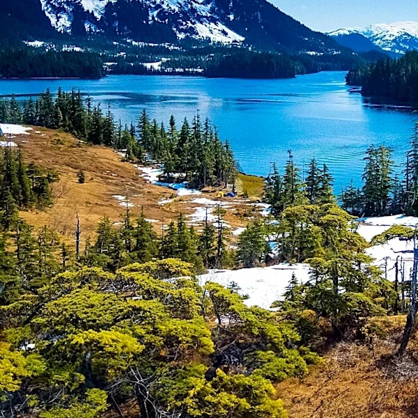 Alaska's Wood-Tikchik State Park Offers Vast Wilderness and Unique Wildlife Experiences