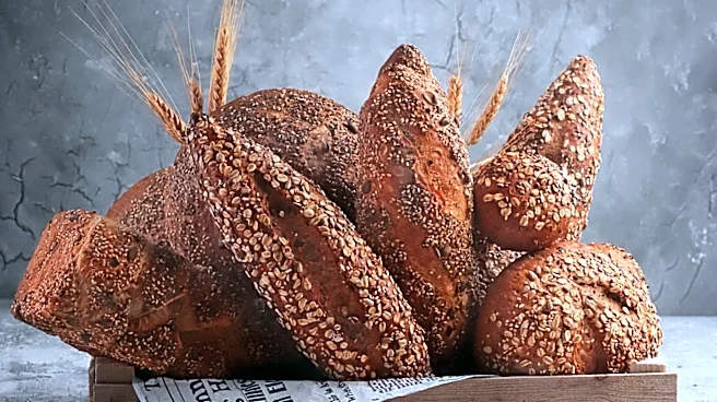 Newfoundland Faces Hard Bread Shortage Amid Historical Context