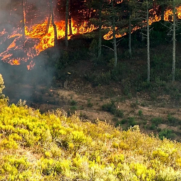 Garbage Fire at Hillsboro Waste Management Facility Sparks Nearby Brush Fire