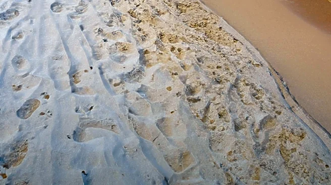 Health Officials Warn Gulf Coast Beachgoers Amid Surge in Deadly Bacterial Infections