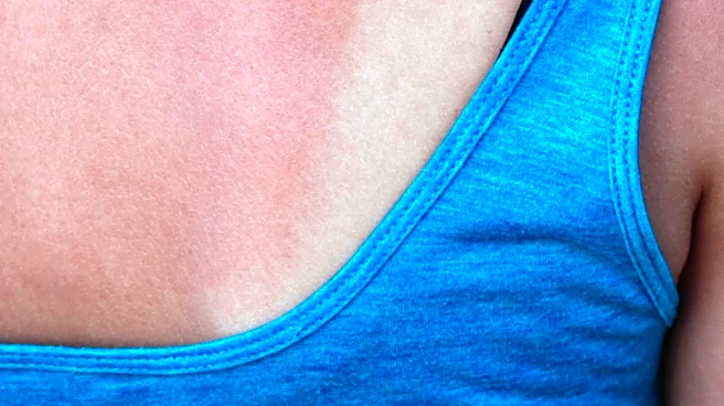 Heat-Related Illnesses Strike Tacos and Tequila Festival in Colorado Springs