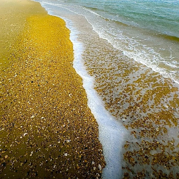 Louisiana Health Officials Warn Beachgoers of Deadly Bacterial Infections