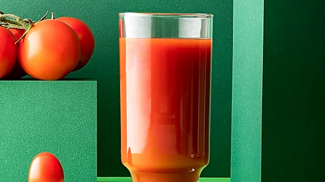 Study Suggests Daily Tomato Consumption May Reduce Liver Fat in MASLD Patients