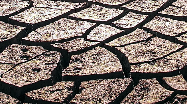 Water Dispute Threatens Nevada's Tech Hub Future