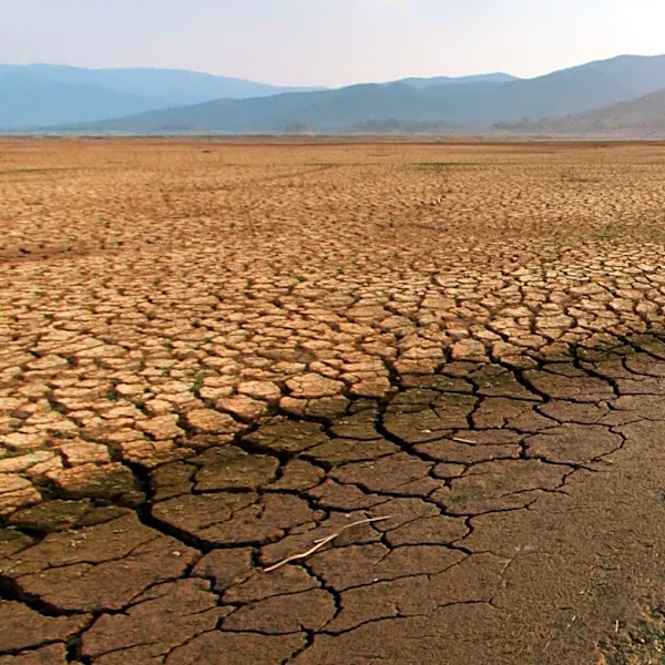 UK Faces Extended Drought as Heatwave Intensifies