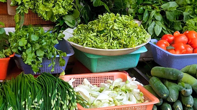 Vermont Farmers Markets Struggle to Attract Vendors Amid Declining Sales