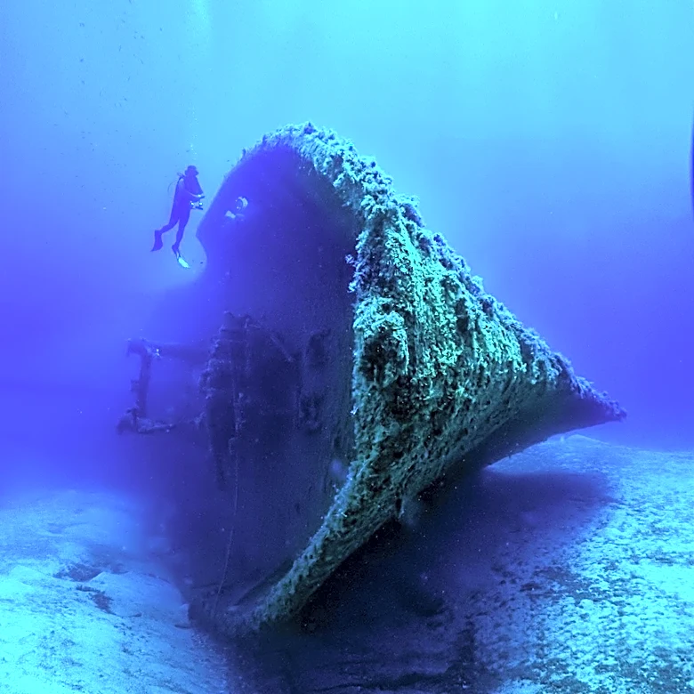 Italian Authorities Discover Ancient Roman Shipwreck Off Sicilian Coast