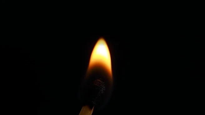 Canadian ER Physicians Face Burnout: Survey Highlights Systemic Challenges