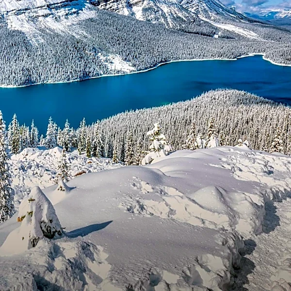 State Parks Offer Larger Wilderness Experiences Than Some National Parks