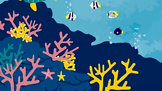 Study Ranks Marine Mammals' Vulnerability to Macroplastic Pollution Globally