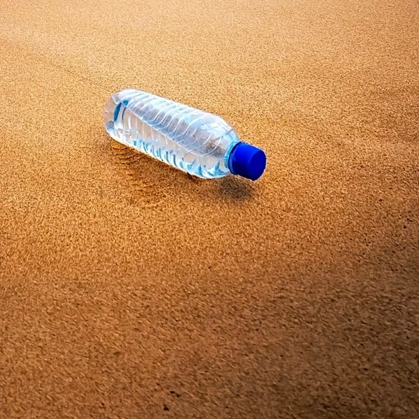 UK Beaches Face Health Concerns as Hundreds Fall Ill Due to Water Pollution