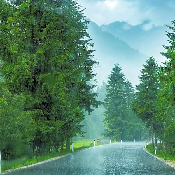 Active Monsoon Brings Heavy Rainfall Risk to Several Nepalese Regions