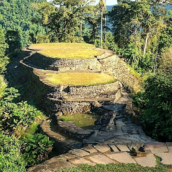 Archaeologists Discover Evidence of 'Lost' Civilization in the Amazon