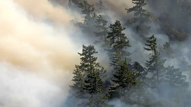 Elk Fire Devastates Lake City Tourism, Local Businesses Suffer
