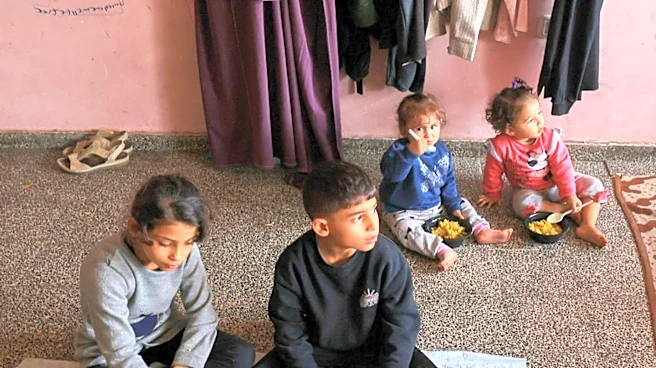 WFP Seeks Consultant for Early Warning and Famine Prevention in Afghanistan