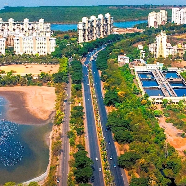 Orlando's Constructed Wetlands Efficiently Treat 5.11 Billion Gallons of Water Annually