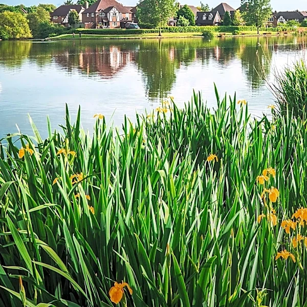 Charming Lakeland Home Offers Resort-Style Living in Secure Community