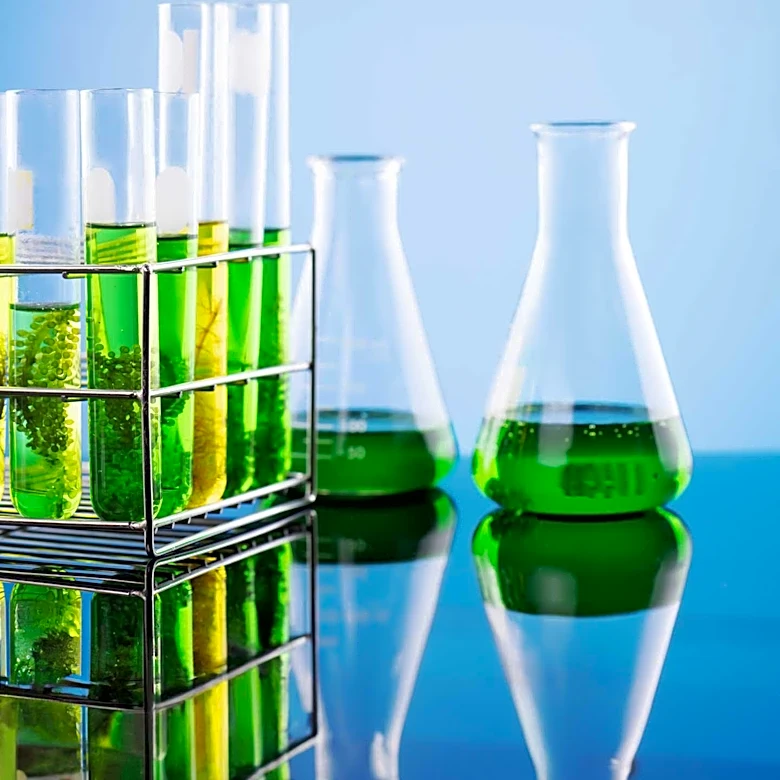 Tardigrade Protein Dsup Offers Potential Radiation Protection for Human Cells