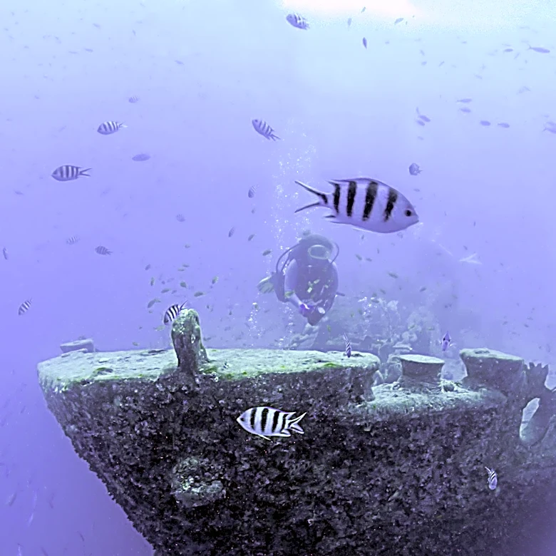 Multi-County Effort to Enhance Gulf's Artificial Reef System with New Vessel