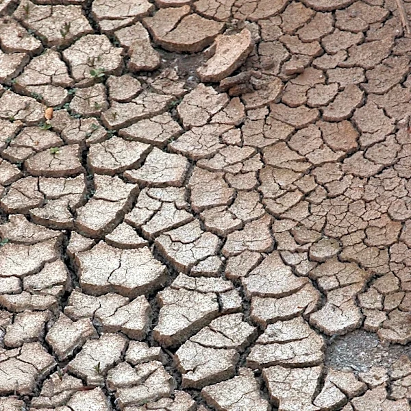Wildfires in Western U.S. and Canada Prompt Mass Evacuations Amid Severe Drought