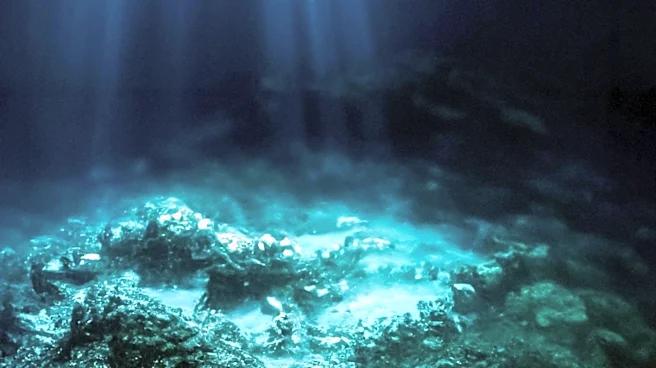 Kamchatka Prepares for Internet Blackout Amid Undersea Cable Repairs