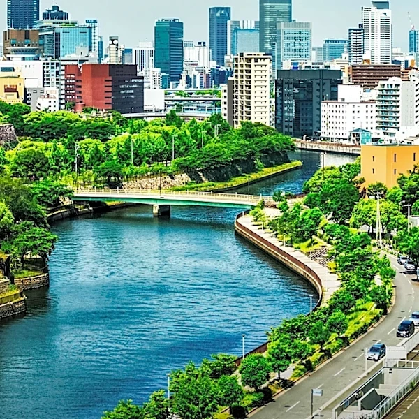 Japan's Regenerative Medicine Act: A Decade of Unapproved Cell-Based Therapy Records