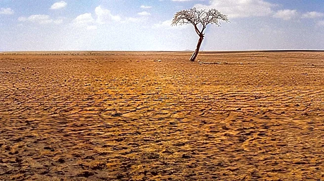 Climate Change's Impact on Social Connections: Heat Waves and Extreme Weather Increase Loneliness