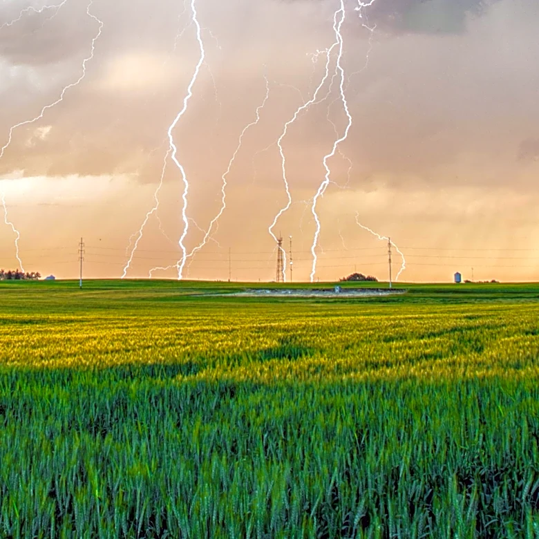 Severe Thunderstorm Watch Issued for Chicago Area Amid Storm Threats