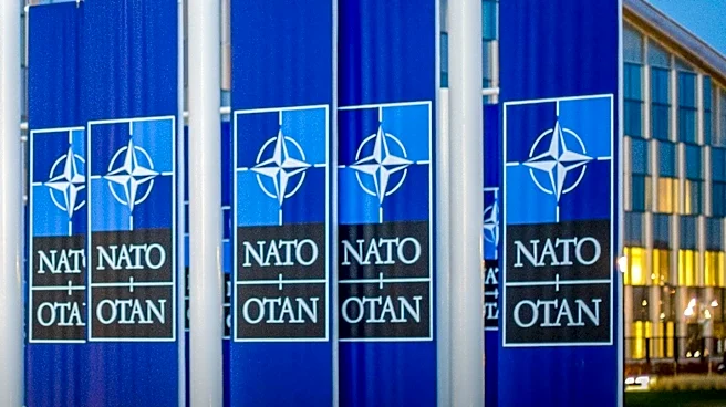 Multilateral Institutions Face Challenges in Addressing Global Issues