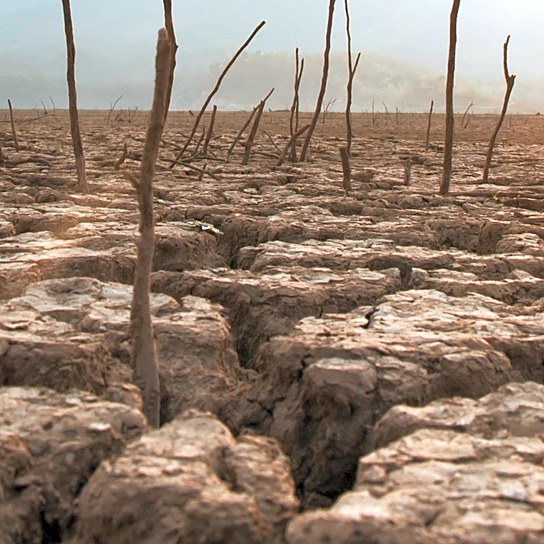 UK Heatwave Expected to Bring Record Temperatures, Affecting Vulnerable Populations