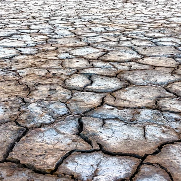 UK Government Declares Drought in Majority of England, Impacting Millions