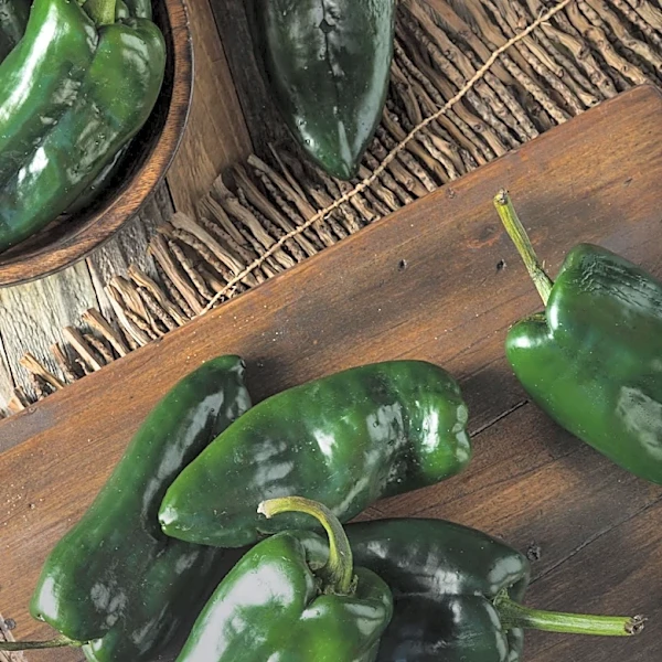 Salmonella Outbreak Linked to Jalapeños Prompts Recall of 18 Prepared Foods Across 27 States