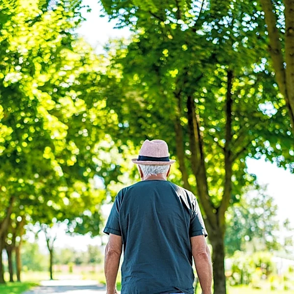 UT Health San Antonio Study Links Physical Activity to Slower Cognitive Decline in Alzheimer's