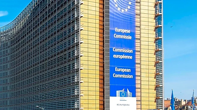 European Parliament Proposes Trilateral Chamber of Commerce for Ukraine, Romania, and Moldova