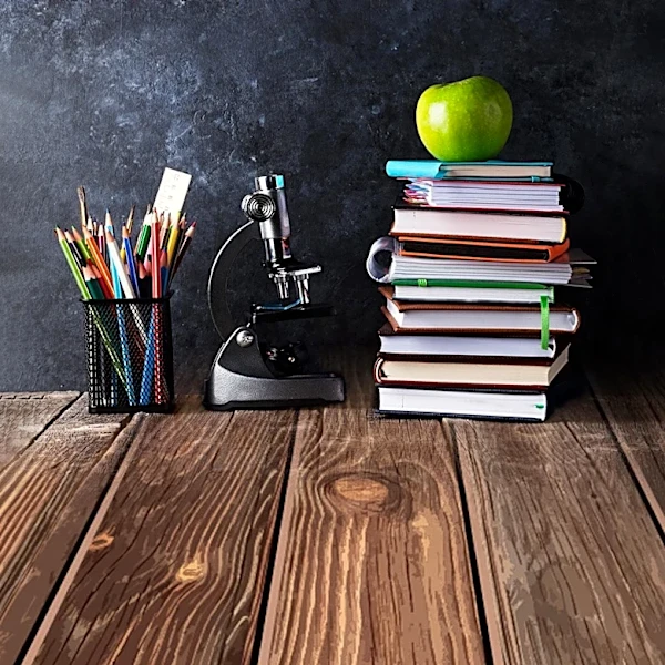 Atlanta Public Schools Achieve Top Academic Gains, Driven by Strategic Plan