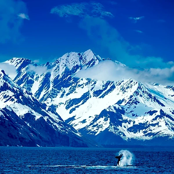 Record-Breaking Tsunami in Alaska Highlights Climate Change Impact
