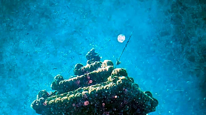 Okaloosa County and Panama City Beach Collaborate on New Artificial Reef Deployment