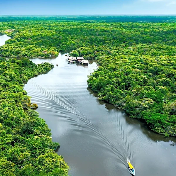 Mariano Cenamo, Advocate for Amazon Bioeconomy, Passes Away at 46