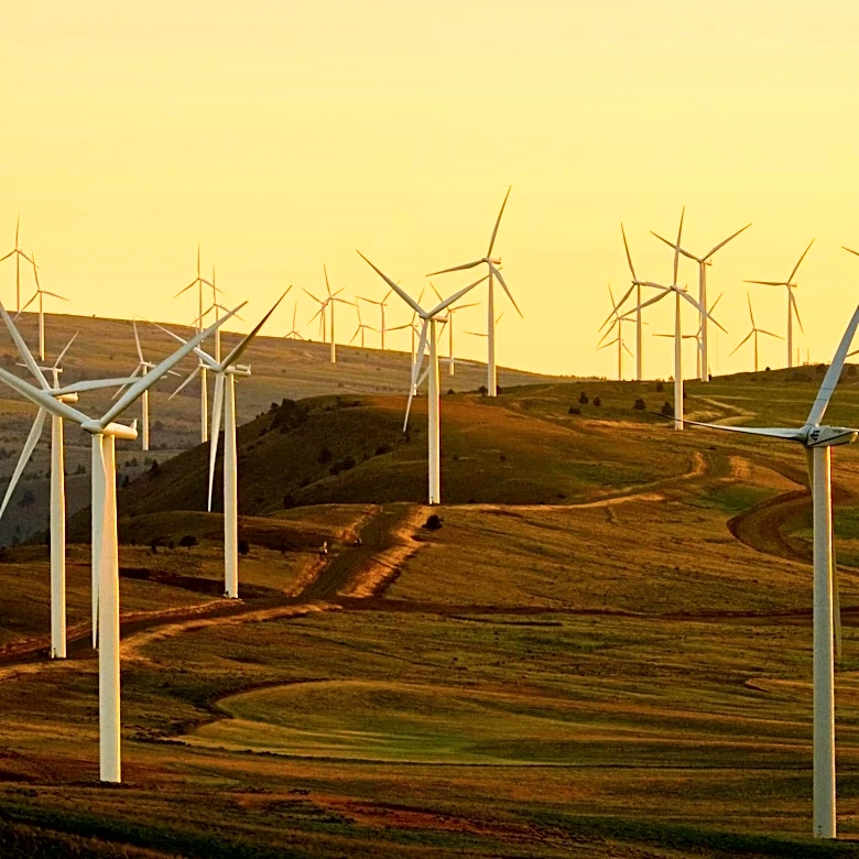 Trump Administration's USDA Proposal Sparks Concerns Over Energy Sector Impact