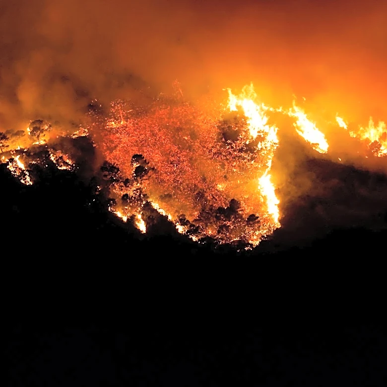 Wildfires in Western US and Canada Prompt Evacuations and Highlight Climate Challenges