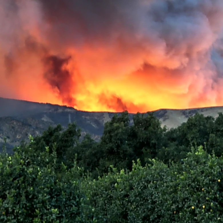 Bug Fire Burns 15,000 Acres Along California-Nevada Border, Prompting Evacuations Near Reno