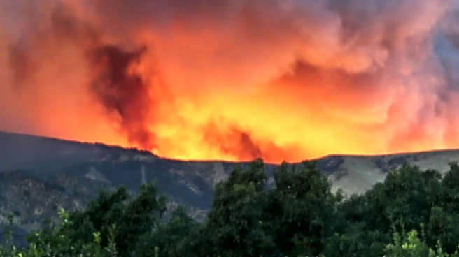 Bug Fire Burns 15,000 Acres Along California-Nevada Border, Prompting Evacuations Near Reno