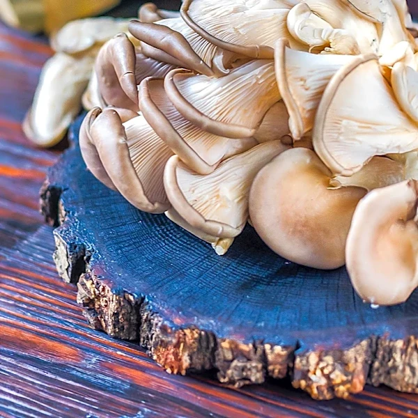 Gibsons Sued Over Oysters Allegedly Linked to Veteran's Brain Injury