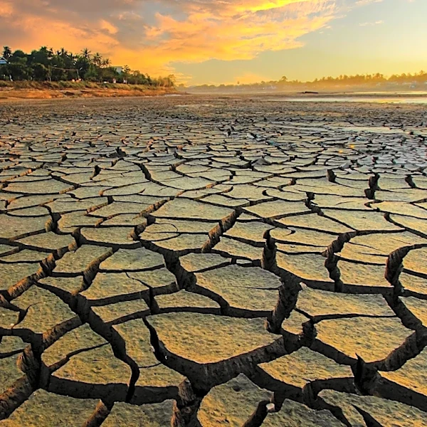 State of the Climate Report Warns of Intensifying Global Warming and Legal Implications